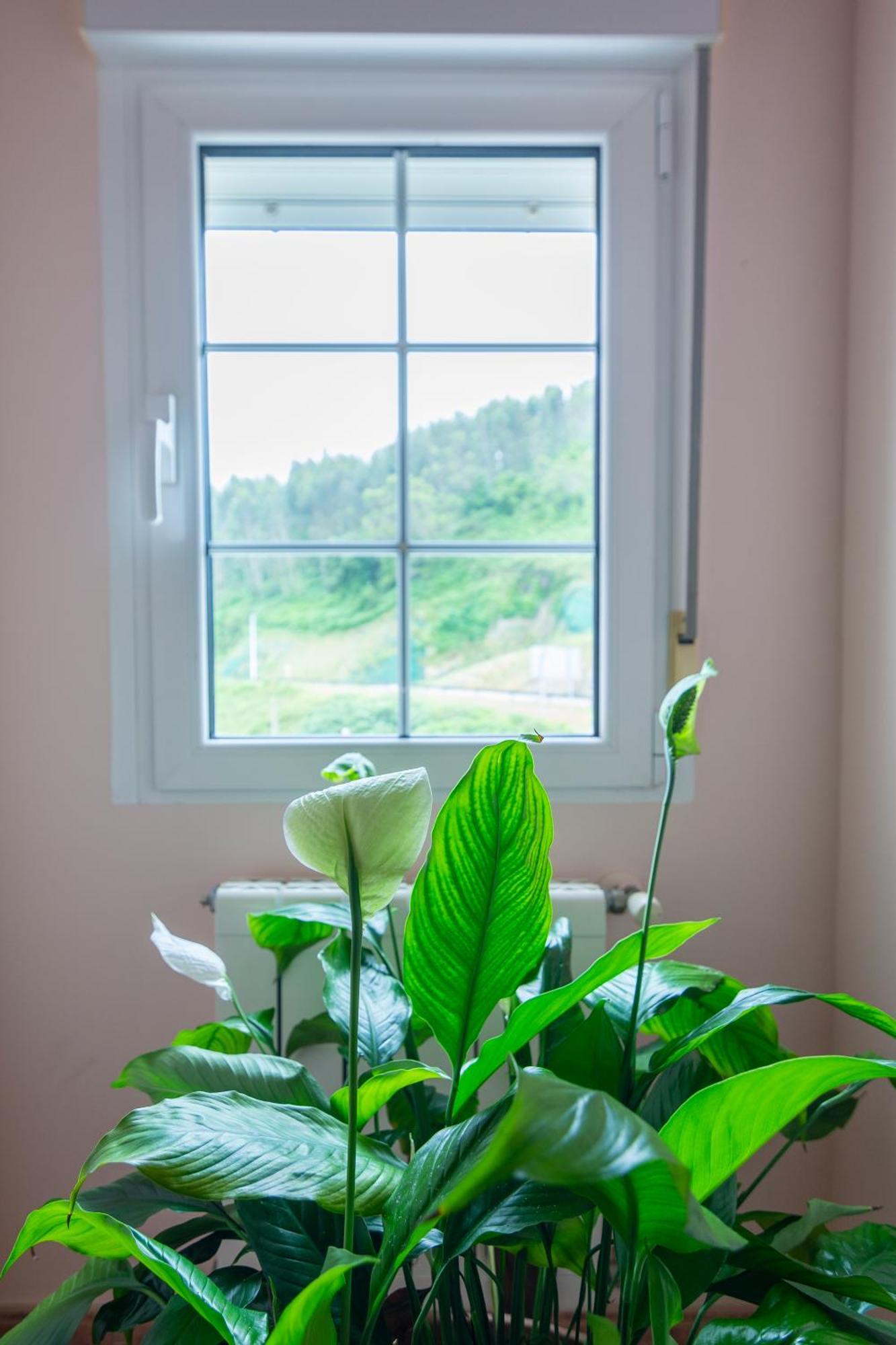 Liencres Apartamentos Екстериор снимка